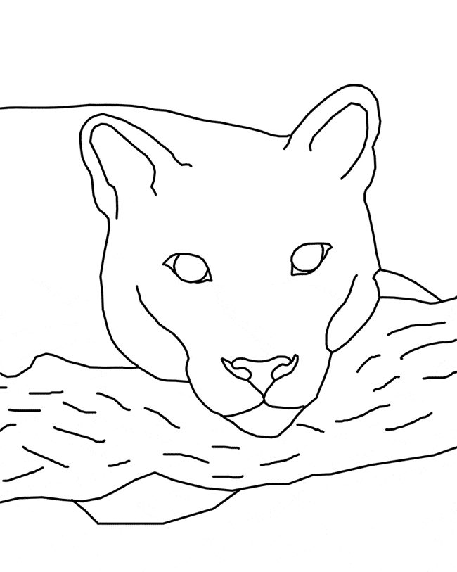 free Eastern Cougar coloring page