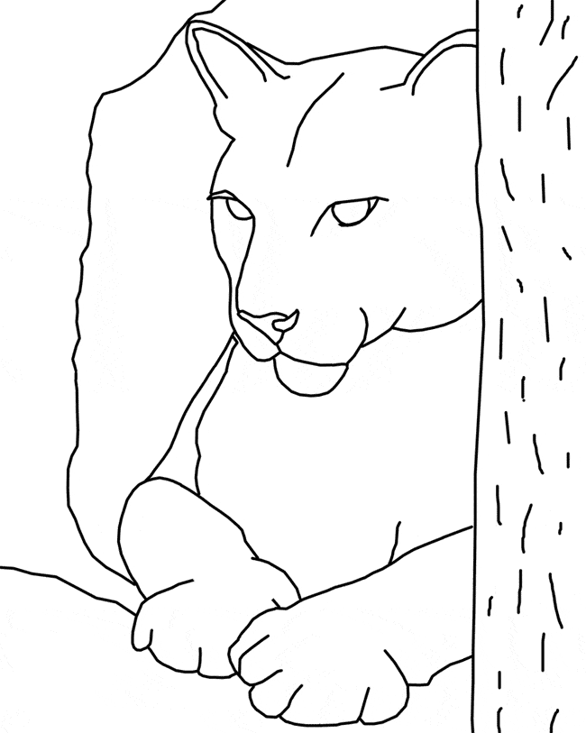 free Eastern Cougar coloring page