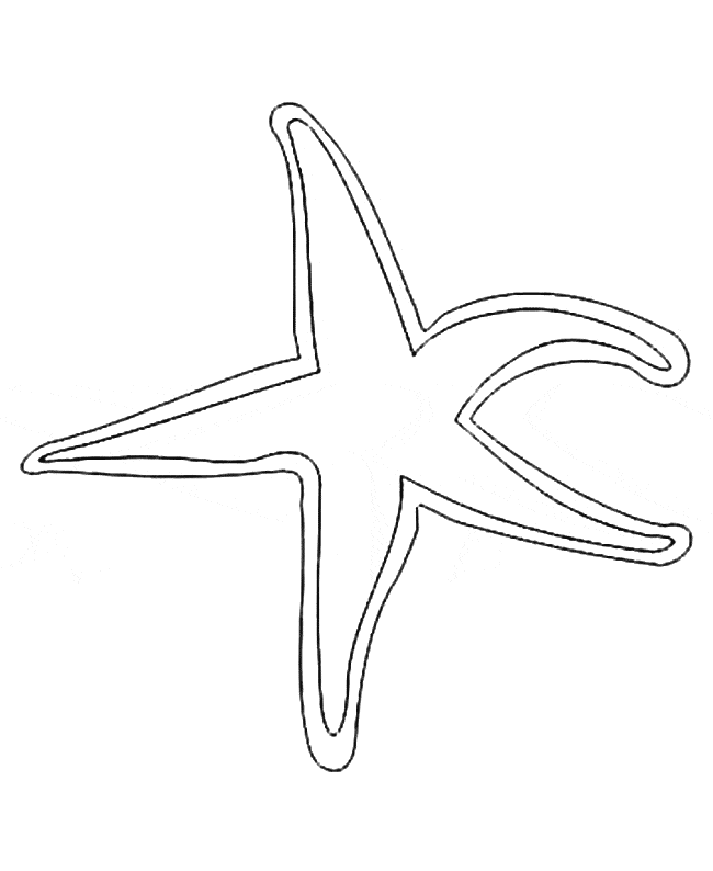 free Echinoderm coloring page