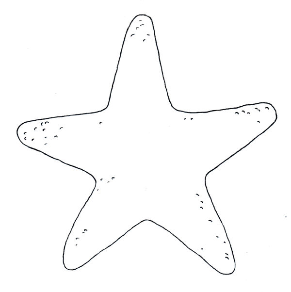 free Echinoderm coloring page