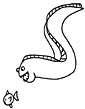 Eel coloring page