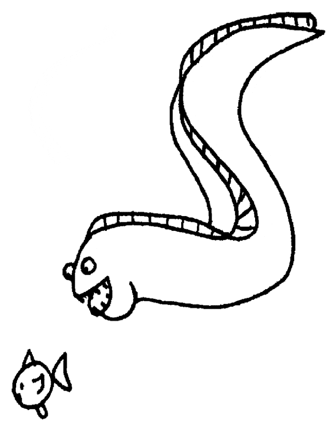 free Eel coloring page sheet