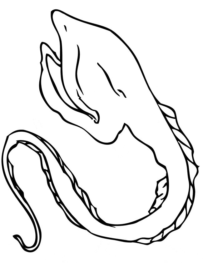 free Eel coloring page sheet