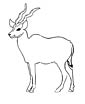 Eland coloring page