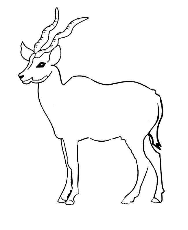 Eland coloring page - Animals Town - animals color sheet - Eland free ...