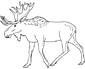 Eland coloring page