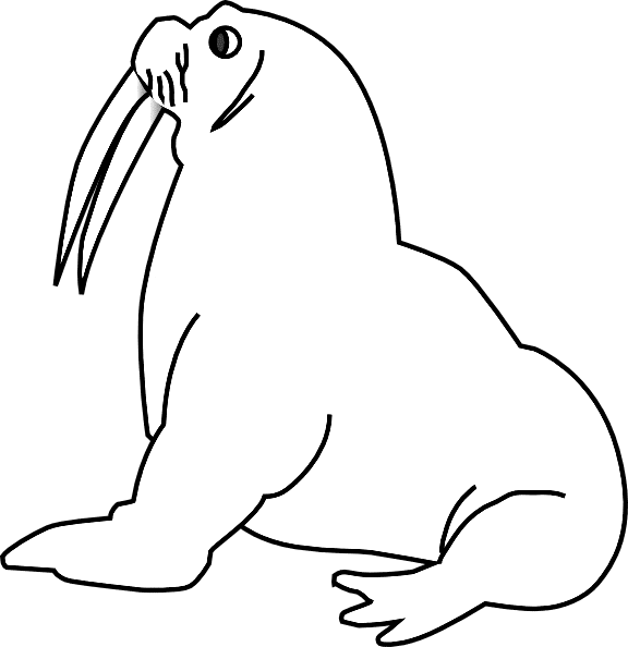 free Elephant Seal coloring page