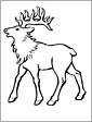 Elk coloring page