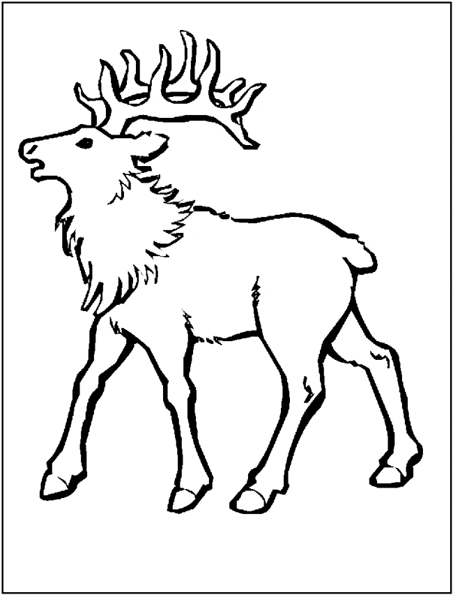 free Elk coloring page