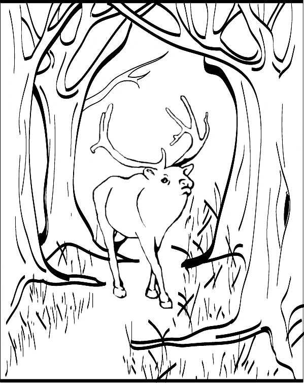 free Elk coloring page