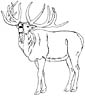 Elk coloring page