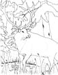 Elk coloring page