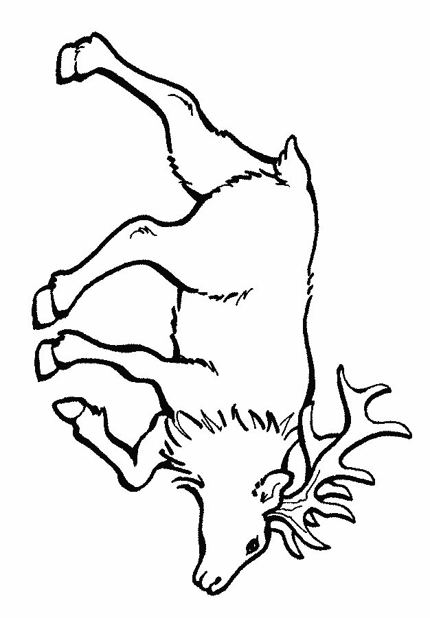 free Elk coloring page