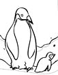 emperor penguin coloring