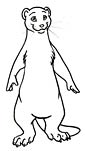 ermine