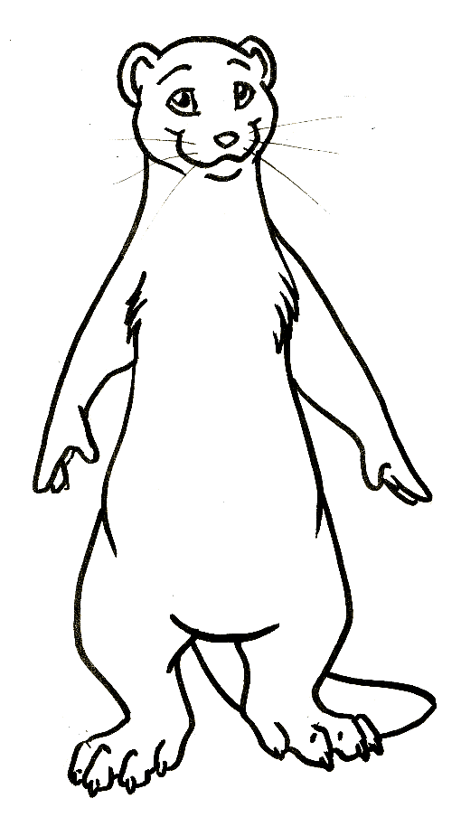 free Ermine coloring page