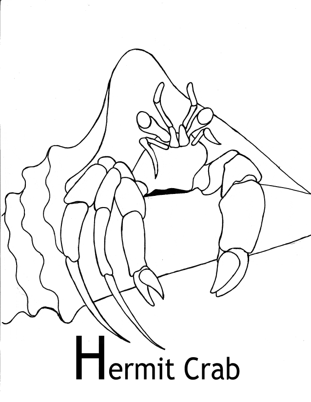 free Fiddler Crab coloring page