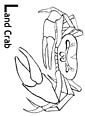 Fiddler Crab coloring page