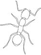 Fire Ant coloring page