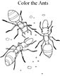Fire Ant coloring page