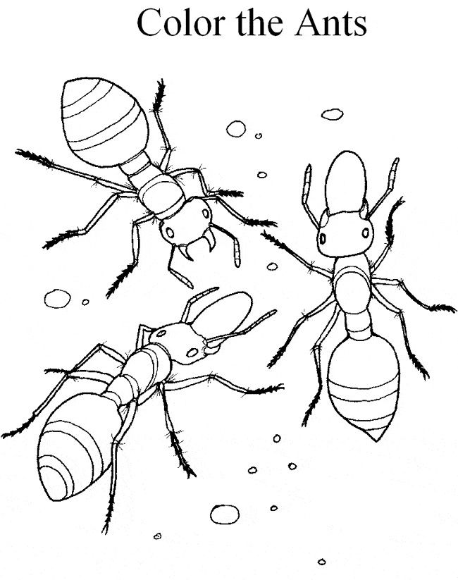 free Fire Ant coloring page