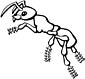 Fire Ant coloring page