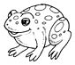 Fire Belly Toad coloring page