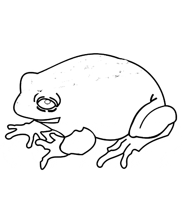 free Fire Belly Toad coloring page sheet