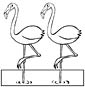 Flamingo coloring page