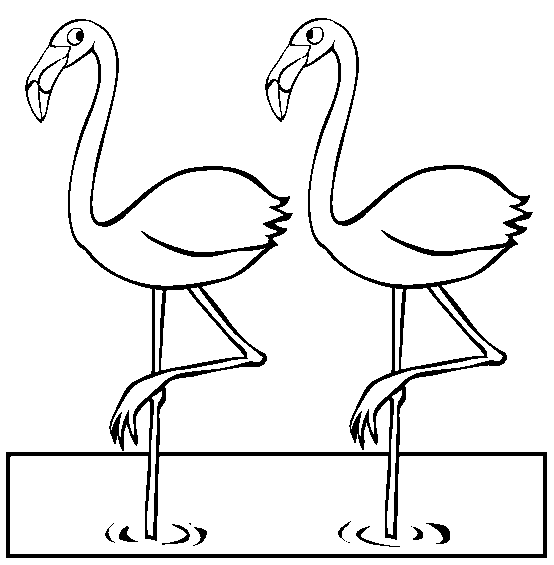 free Flamingo coloring