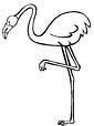 Flamingo coloring page