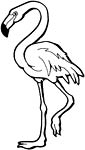 Flamingo coloring page