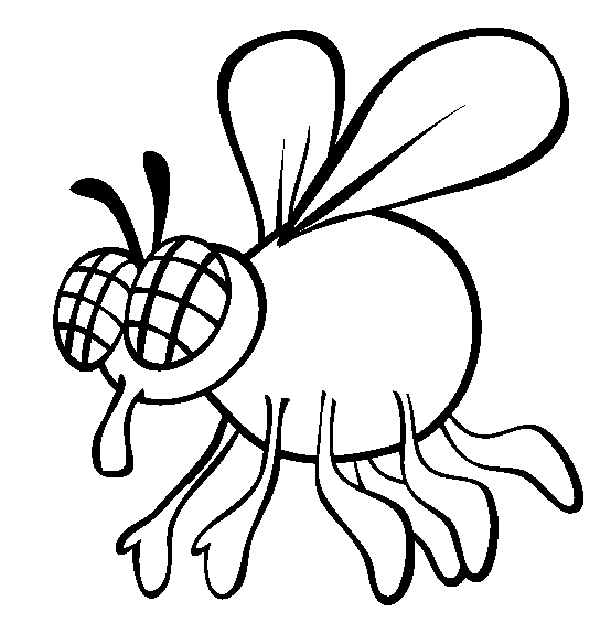 free Fly printable coloring sheet picture page