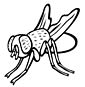 Fly coloring page