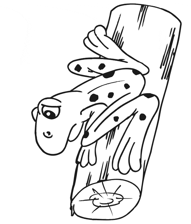 free Frog coloring page