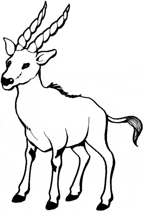 free Gazelle coloring page