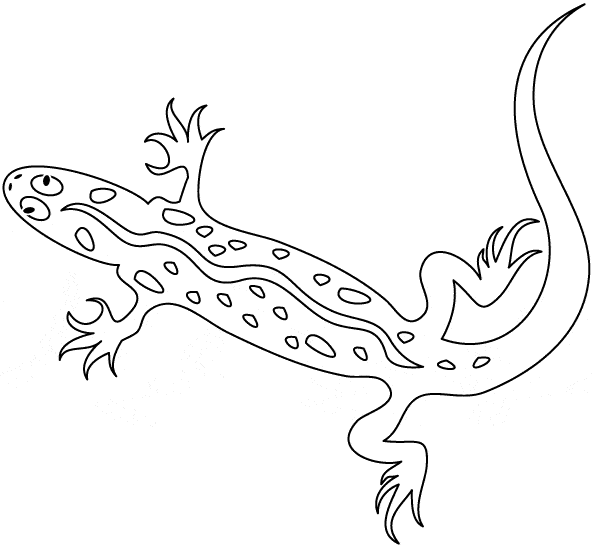 free Gecko coloring page