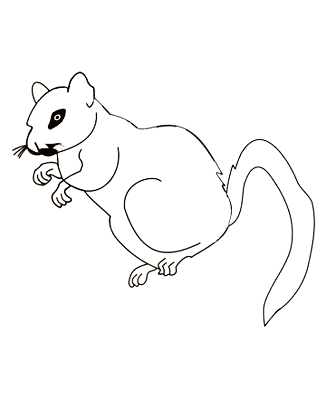 free Gerbil coloring page
