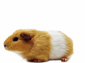 Gerbil wallpaper