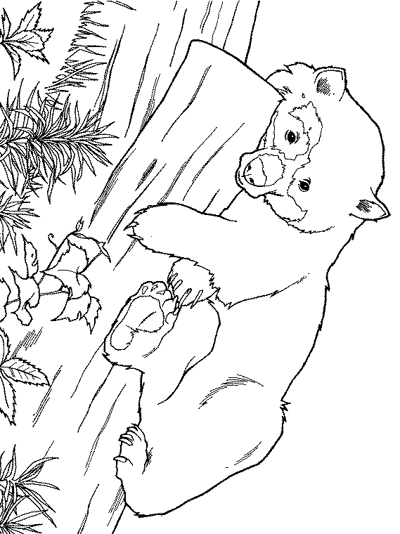 free Giant Panda coloring page