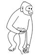 Gibbon coloring page