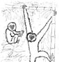 Gibbon coloring page