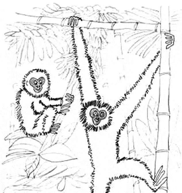 free Gibbon coloring page