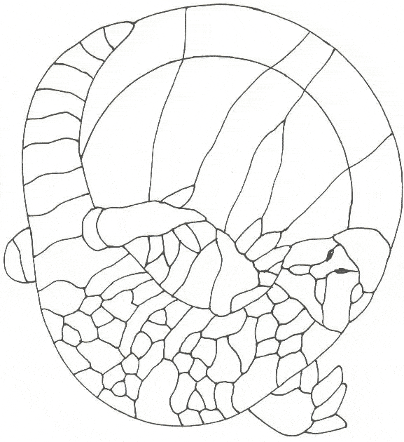 free Gila monster coloring page
