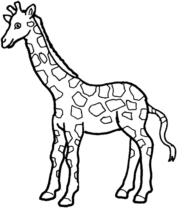 Download Giraffe Coloring Page Giraffe Free Printable Coloring Pages Animals