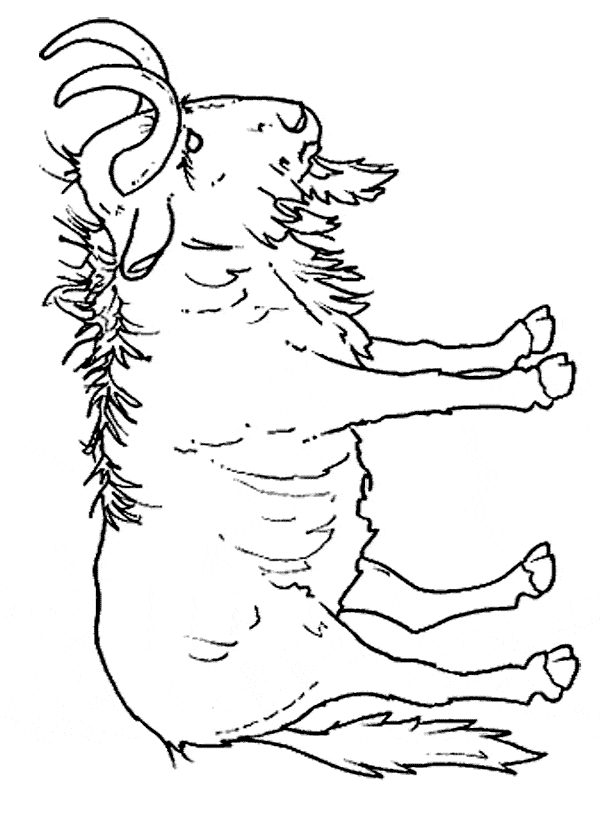 free Gnu coloring page