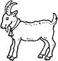 Goat coloring page