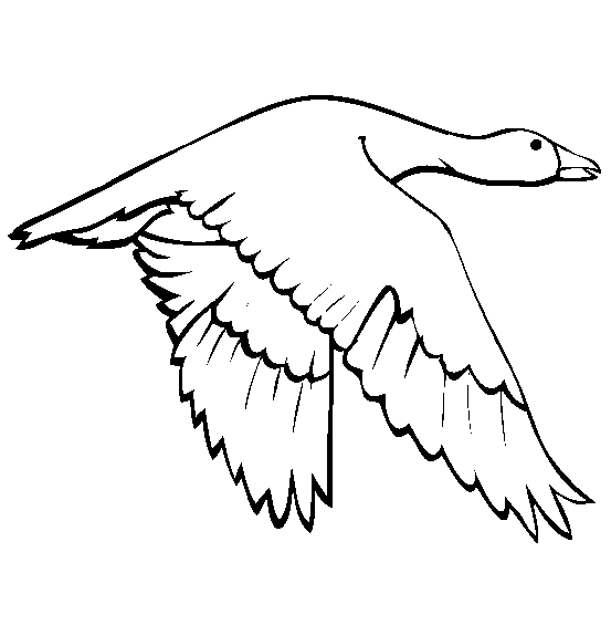 free Goose coloring page