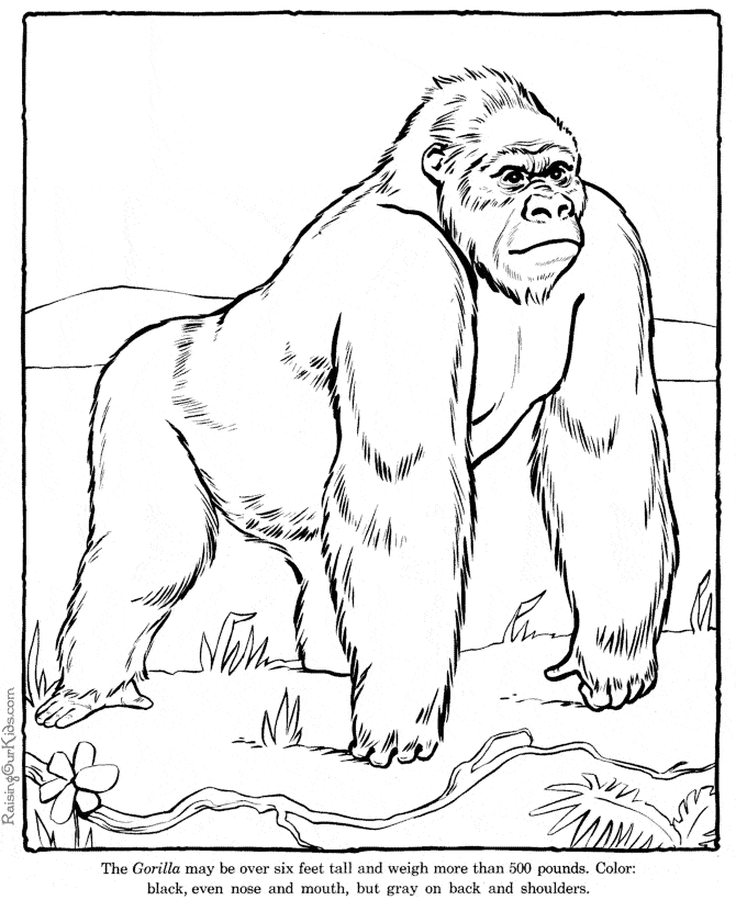 free Gorilla coloring page