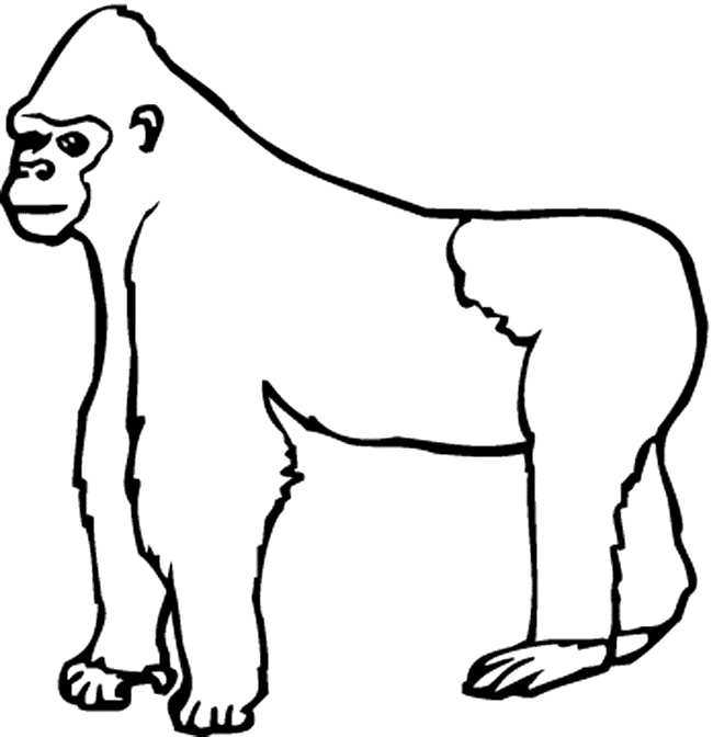 Gorilla coloring page - Animals Town - Animal color sheets ...